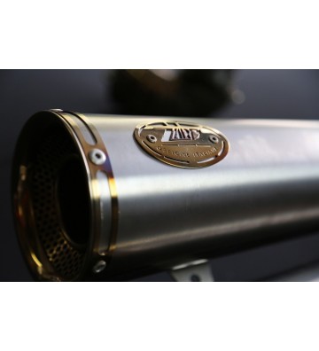 ZARD Full Exhaust System for MONSTER 1200 R/S 16-