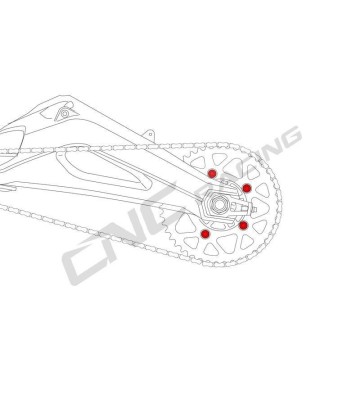 CNC Racing Rear Sprocket Nuts for STREETFIGHTER 848