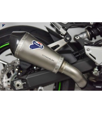 TERMIGNONI Silencer for Z900 17-