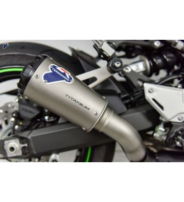 TERMIGNONI "GP2R-RHT" Silencer for Z900 17-