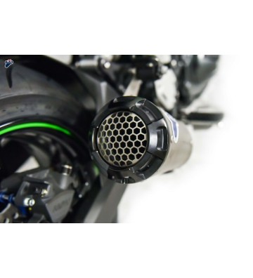 TERMIGNONI "GP2R-RHT" Silencer for Z900 17-