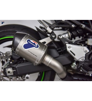 TERMIGNONI "RELEVANCE D70" Silencer for Z900 17-