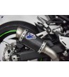 TERMIGNONI "GP CLASSIC" Silencer for Z900 17-