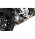 TERMIGNONI "GP CLASSIC" Silencer for CB 1000 R 18-