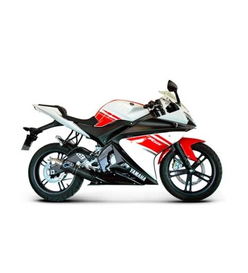 TERMIGNONI Escape Completo para YZF-R125 08-13