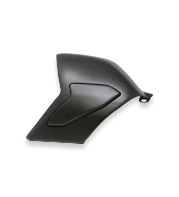 CNC Racing Swingarm cover for Panigale V4 18-