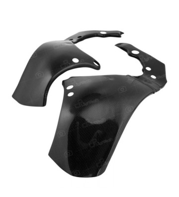 Lightech Front Mudguard for ZX10R 11-15