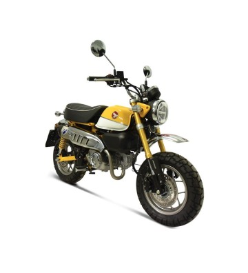 TERMIGNONI Escape Completo para MONKEY 125 18-