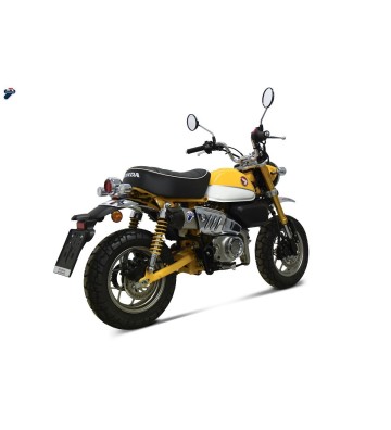 TERMIGNONI Escape Completo para MONKEY 125 18-