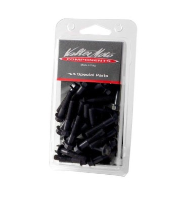 VALTERMOTO Engine Bolt Kit for Z900 17-