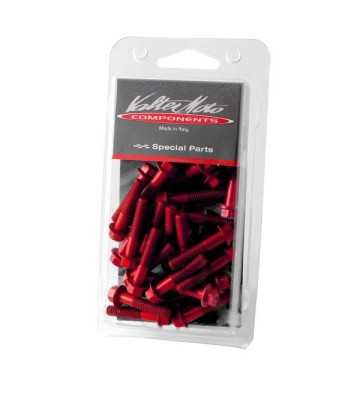 VALTERMOTO Engine Bolt Kit for Z900 17-