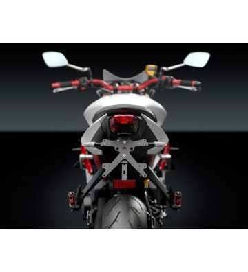 RIZOMA Suporte de Matricula Triumph Daytona 675 13-, Street Triple 675 13-