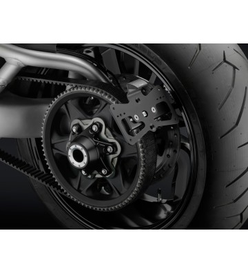 RIZOMA Suporte de Matricula XDIAVEL S