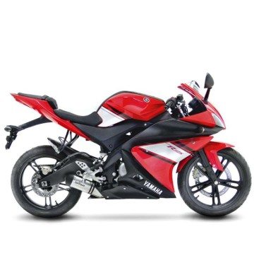 LEOVINCE LV ONE EVO Escape Completo para YZF-R 125 08-13