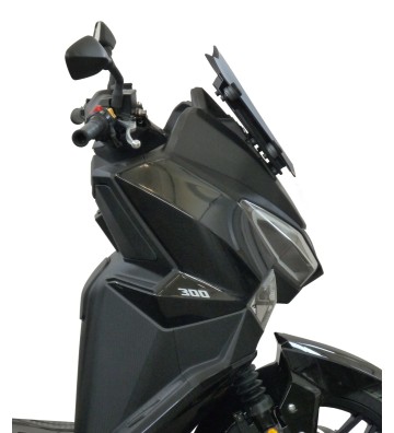 F. FABBRI Vidro SPORT para JOYRIDE 300 2022