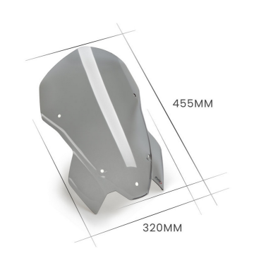 PUIG Vidro de carenagem para BMW S1000RR 2023