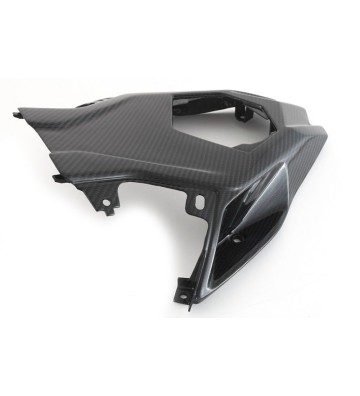 FULLSIX Undertail cover for S1000RR 19-