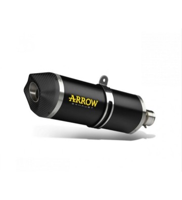 ARROW RACE-TECH Silencer for CB 300 R 18-