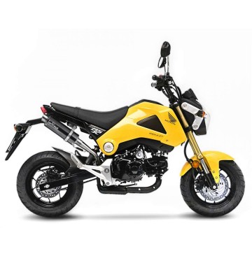 LEOVINCE GP CORSA Silencer MSX 125/GROM