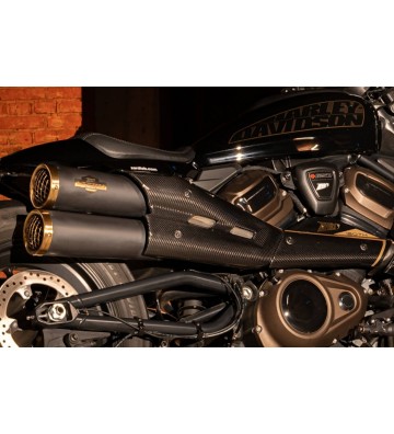 ZARD "GT" Silencers for SPORTSTER S 1250 21-