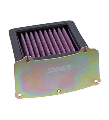 DNA Air filter for AK550 17-