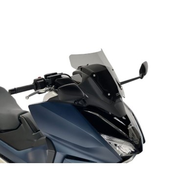 WRS Windscreen "Sport" for FORZA 750 21-