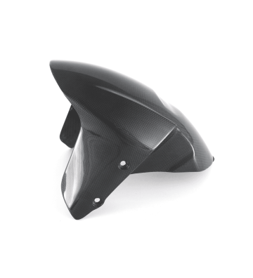 FULLSIX Front Fender for DIAVEL V4 22-