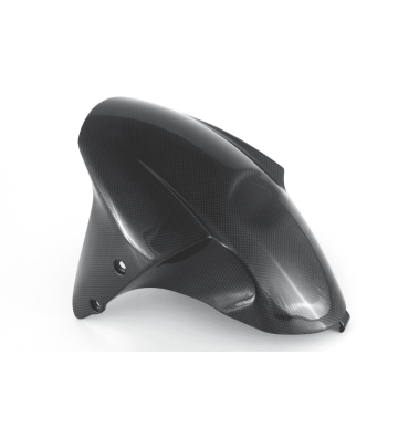 FULLSIX Front Fender for DIAVEL V4 22-