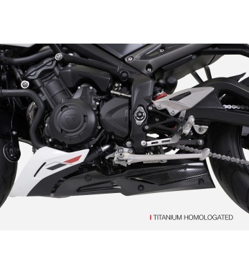 ZARD Full Exhaust System for TRIUMPH STREET TRIPLE 765 23-24
