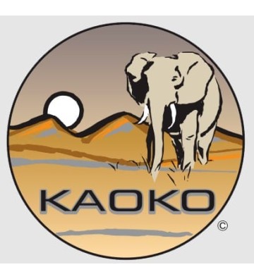 KAOKO Throttle Stabilizer for DUCATI