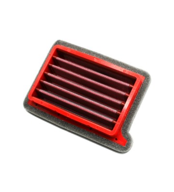 BMC Air Filter for Triumph Trident 660 21-