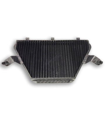 SPRINT FILTER P08F1-85 Air Filter with Carbon Frame for Honda CBR1000RR 20-