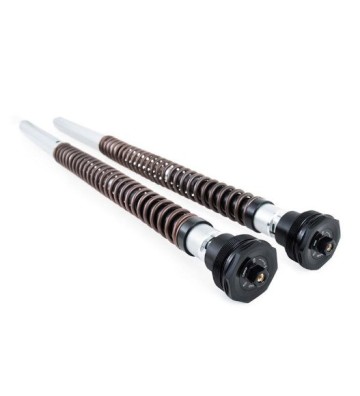 OHLINS Kit FKA de Cartuchos de Suspensão NIX30A para Triumph Scrambler 1200 XE 19-23