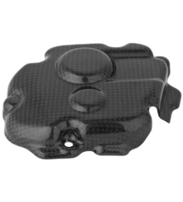 LIGHTECH Pick Up Cover for ZX-10R 11-18