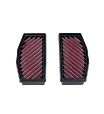 DNA Air Filter for BMW R1300 GS 23-24