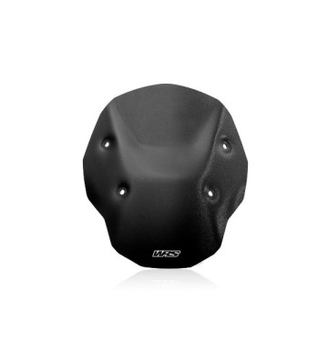 WRS Vidro Enduro Sem Radar para BMW R1300 GS 23-