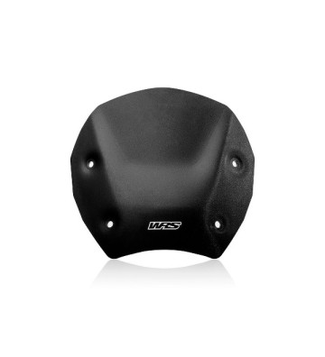 WRS Vidro Sport com Radar para BMW R1300 GS 23-