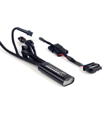 DENALI CANsmart Conector de Luzes Denali 2.0 para R1300GS 24- GEN 2