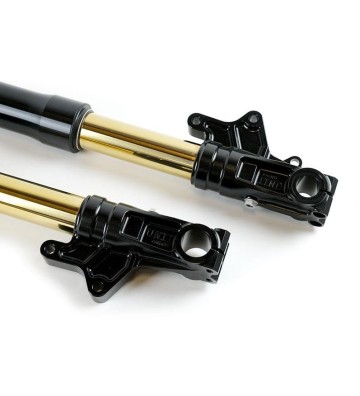 OHLINS Suspensão Frontal USD Low com Triângulos de Suspensão UNIT GARAGE para BMW R NineT 20-