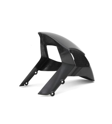 FULLSIX Front Fender for MONSTER796 / MONSTER1100 / MONSTER696