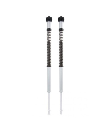 OHLINS Nix 22 Fork Cartridges Kit for BMW R NineT 16-