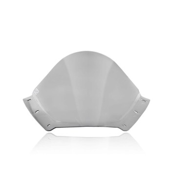 WRS RACE Windscreen for KAWASAKI ZX-10 R/RR 21-
