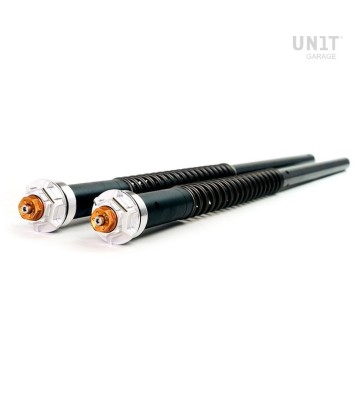 UNIT GARAGE Fork Cartridges for BMW R 12 Nine T 23-24