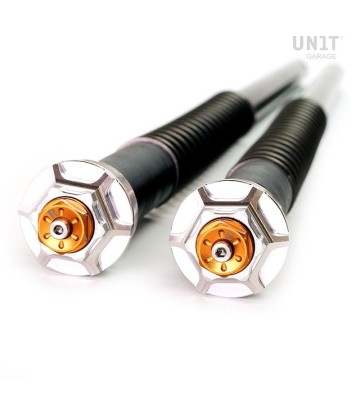 UNIT GARAGE Fork Cartridges +30 mm for BMW R 12 Nine T 23-24