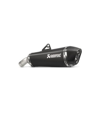 AKRAPOVIC Silencer in F800 09-17