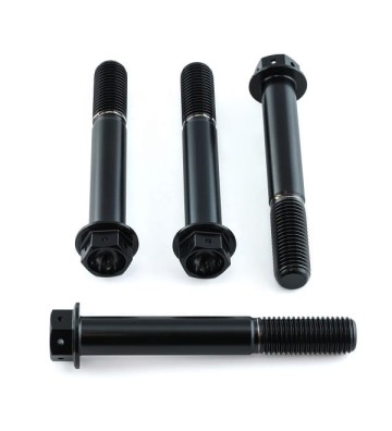PRO-BOLT Kit parafusos de pinças M10x1.25x70mm