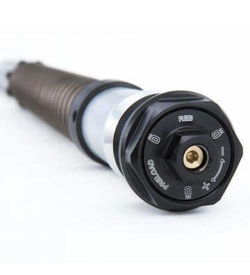 OHLINS Nix 22 Fork Cartridges Kit for BMW R NineT 17-23