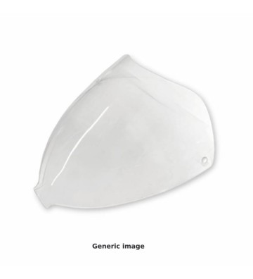 ERMAX Windscreen for SYM GTS Evo 125/300