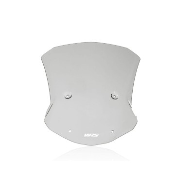 WRS Vidro CAPONORD para BMW M1000 XR 23-24