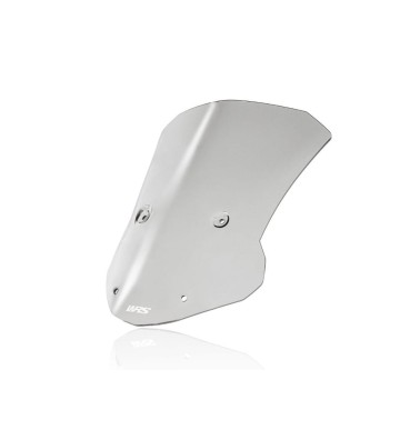 WRS CAPONORD Windscreen for BMW M1000 XR 23-